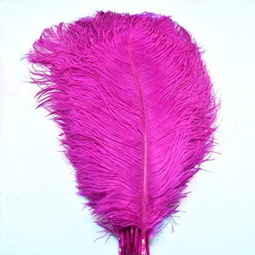 10 PCs/lote 15-70cm Rose Red Avestrich Feathers For Crafts Plumes Diy Feathers Natural Vaso Jóias Fazendo Partimento Decorativo