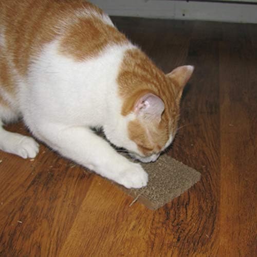 Gurus do tesouro papelão corrugado Catnip Catnip incluiu um gatinho de gatinho de gatinho acessório de animais de estimação
