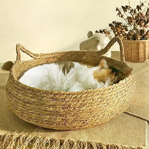 Fenteer Scratching Cat Bed com acessórios removíveis sofá sofá -gato portátil de canil macio para gatinhos para gatinhos pequenos