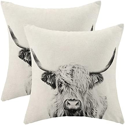 Cxmeifly Highland Cow Capas de travesseiros