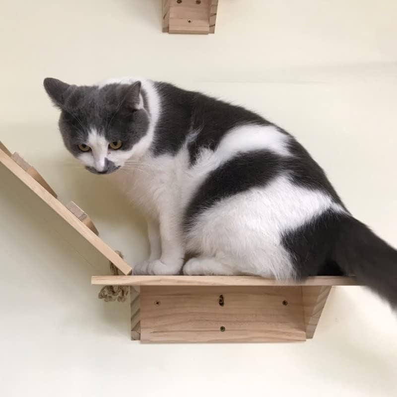 Gretd Cat Tree Cat Frame Stratch Placa de gato de madeira Plataforma de jumping Diy Pet Furniture Kitten Springboard Montado com parede de gato brinquedo