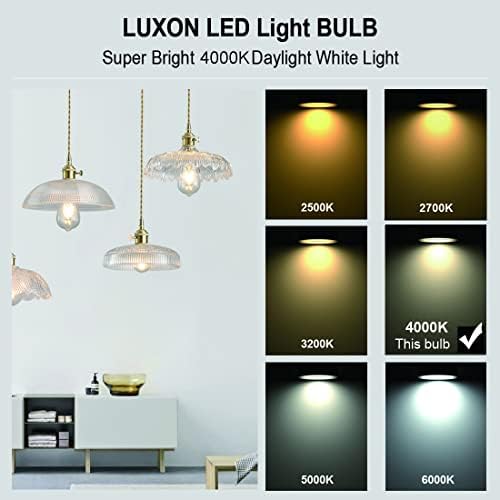 Luxon Led Edison Bulbs, Dimmable, 4watt, 4000k Daylight White, St64 Filamento de estilo vintage ST64 Lâmpadas de filamento Edison, Base E26, CRI 90+, pacote de 4