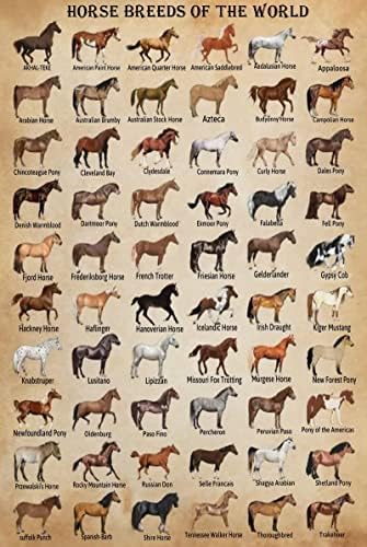 Conhecimento de cavalos Metal Tin Sign Horse Raças do mundo Retro Poster Educação Escolar Country Farm Cafe Sala Banheiro
