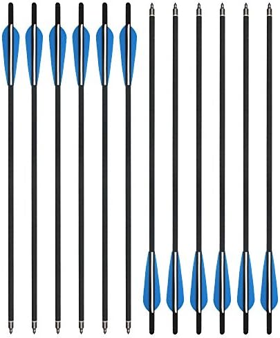 Roltes de carbono de 20 de 20 com flechas de carbono com meia lua e pontas substituíveis caçando flechas de arco e flechas