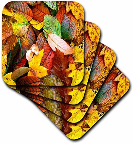 3drose cst_1001_4 folhas de outono montanhas -russas de azulejos, conjunto de 8